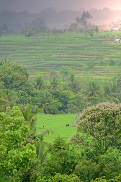 Villa Kirana Valey View
